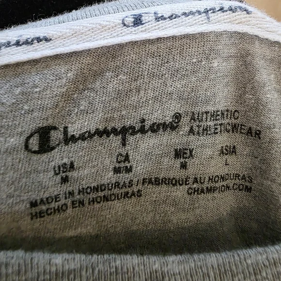 Champion Gray Logo Cropped Tee - Picture 4 of 4